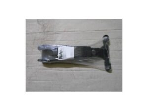 Braccio Timone